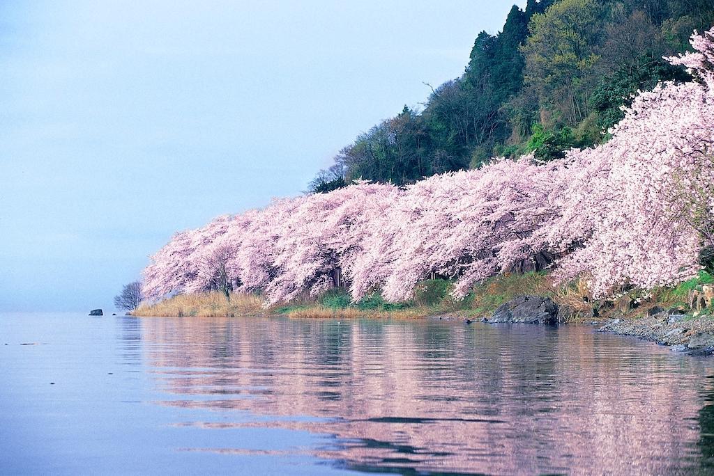 Grand Park Hotel Okubiwako Makino Takashima Εξωτερικό φωτογραφία